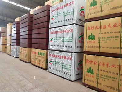 建筑模板库房