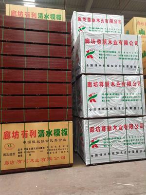 弘信源建筑模板