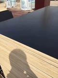 建筑模板